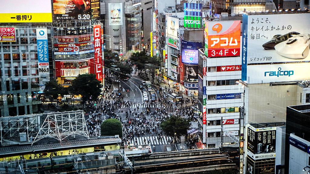 Garden Maintenance 花園保養